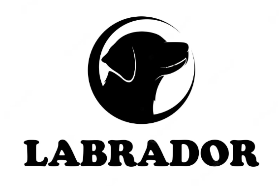 Para Labrador